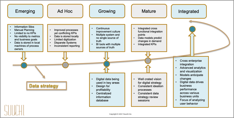 Types of supply chain IT organizations